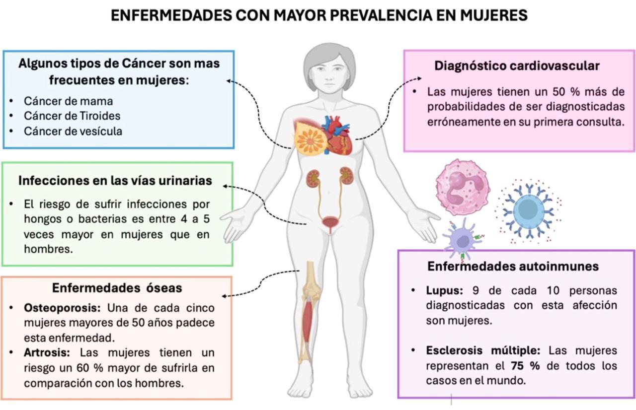 Figura 3. Principales enfermedades con mayor prevalencia en mujeres, basado en datos epidemiológicos y reportes clínicos previos [4, 5].